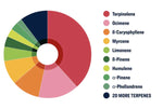 CONFETTI #3 INDOOR | 14,87% THC FLOWER(21+ only) | SATIVA 70% INDICA 30% - ONLY FOR GERMANY