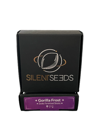 Gorilla Frost x3 - Silent (Ex Dinafem)