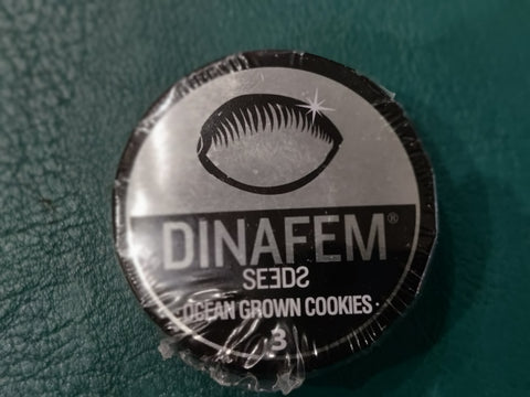 Ocean Grown Cookies x3 - Dinafem