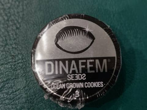 Biscuits de l'océan x3 - Dinafem