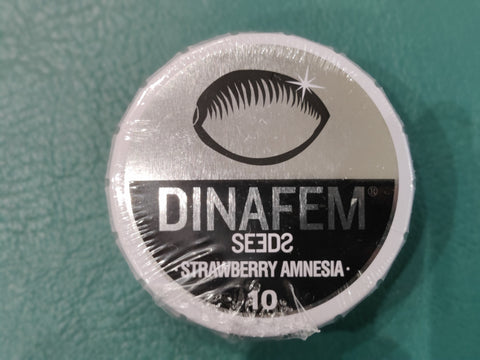 Strawberry Amnesia Auto x10 - Dinafem