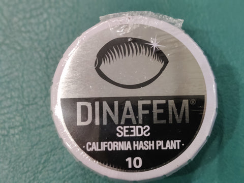 California Hash plant x10 - Dinafem
