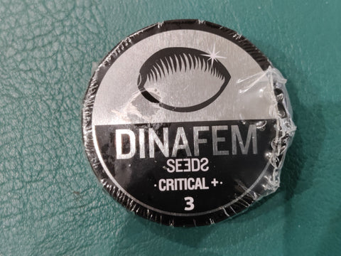 Critical+ x3 - Dinafem