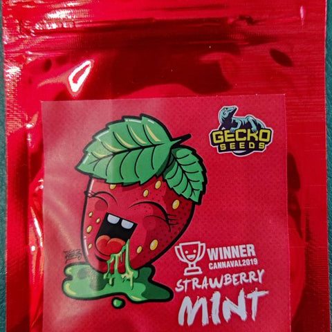 Strawberry Mint x 3 - Gecko Seeds