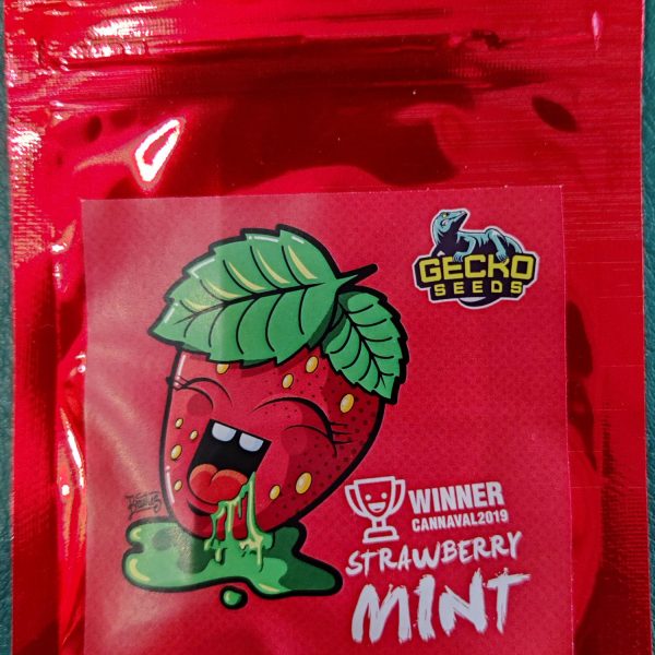 strawberry mint seeds Strawberry Mint x 3