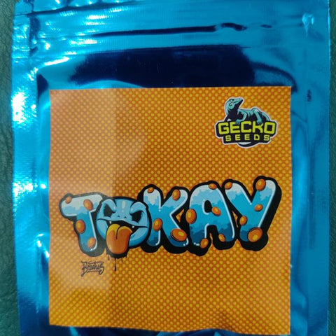 Tokay x 3 - Gecko Seeds