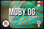 Moby OG 3 + 1 - TBS Genetics